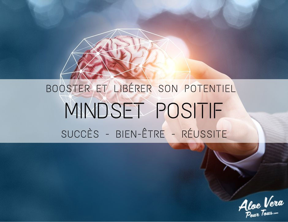 Mindset Positif Booster Et Lib rer Son Potentiel Succ s Bien tre Mindset Positif Booster Et Lib rer Son Potentiel Succ s Bien tre