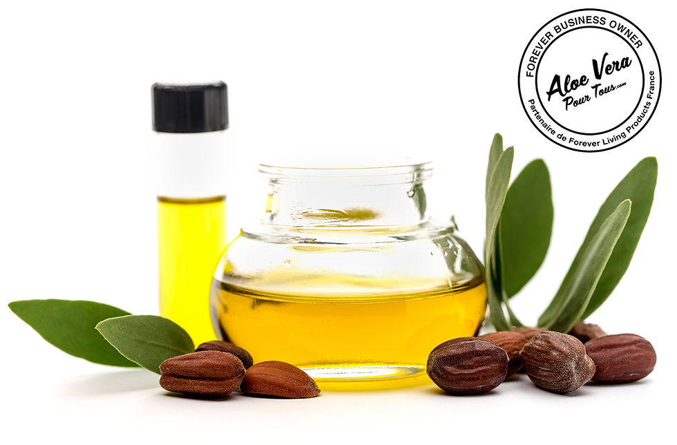 Huile de jojoba | Comment utiliser ?