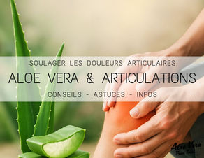 Aloe Vera et Articulations : Comment Soulager les Douleurs Articulaires Naturellement ?