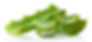gel d'aloe vera