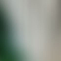 Le serpent : guérisseur, gardien et tentateur