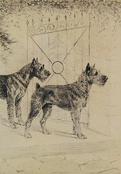 History of the Miniature Schnauzer