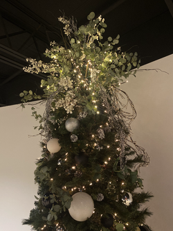 62848500054__03437A3A-AD3D-42F7-AFE9-8EC