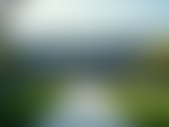 Top Colleges for Electrical and Chemical Engineering