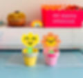 Teens & Tweens Hama Bead Flowers/Plant Pots (age 10+)
