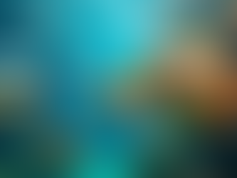 Choosing the Best Aquarium Service in Houston: Your Guide to the Best Aquarium Maintenance