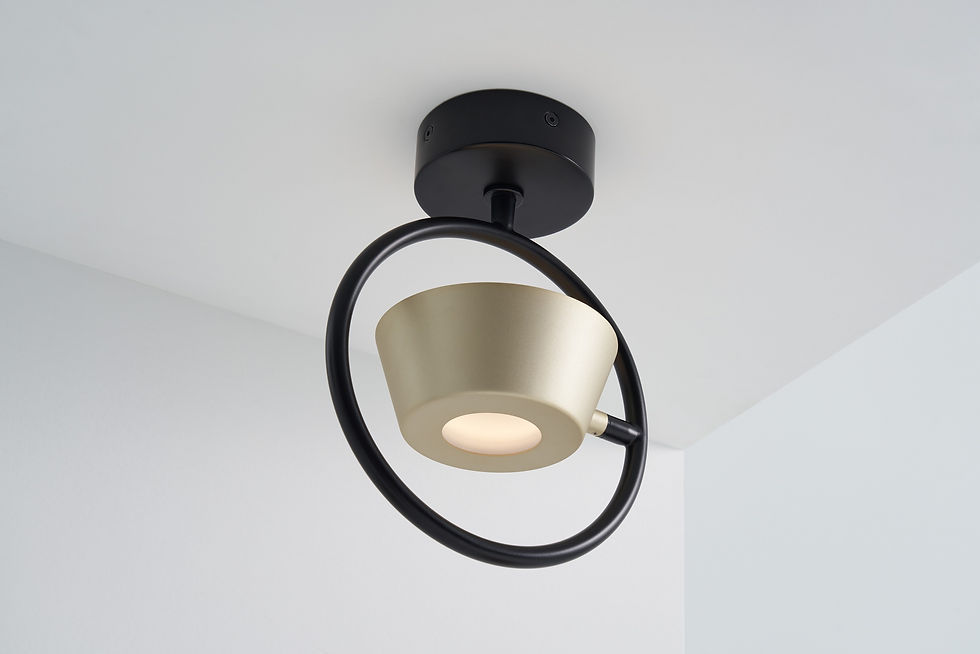 Thumbnail: OLO Ring Wall/Ceiling Lamp
