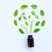 basil.jpg
