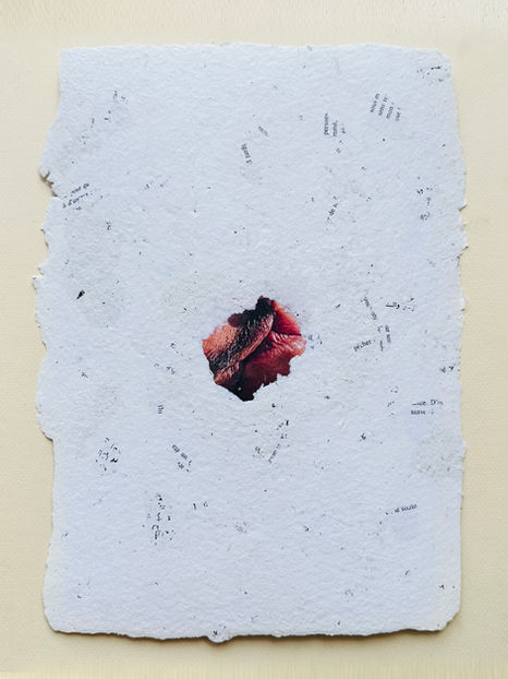 art installation by artist esmeralda kosmatopoulos with artworks made of recycled paper of the books of Rolland Barthes and Leila Majnun about love words and kiss in French and arabic