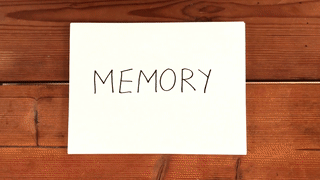 __________ MEMORY