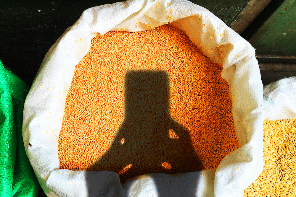 Foreign shadow