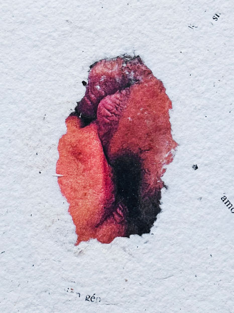 art installation by artist esmeralda kosmatopoulos with artworks made of recycled paper of the books of Rolland Barthes and Leila Majnun about love words and kiss in French and arabic