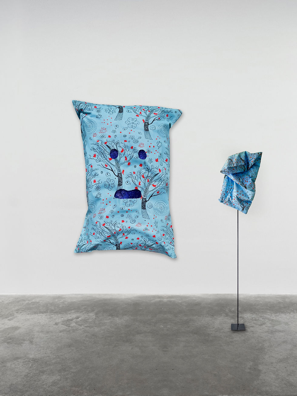 artworks by artist esmeralda kosmatopoulos about sleep and dreams with photo printed on aluminum tha