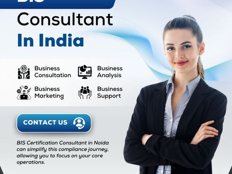 Who Really Needs a BIS Consultant in 2025 and Why?