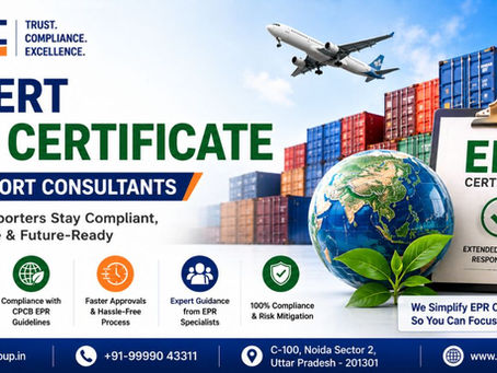 Expert EPR Certificate For Import Consultants Helping Reduce Customs Delay With Smart EPR Planning Strategy