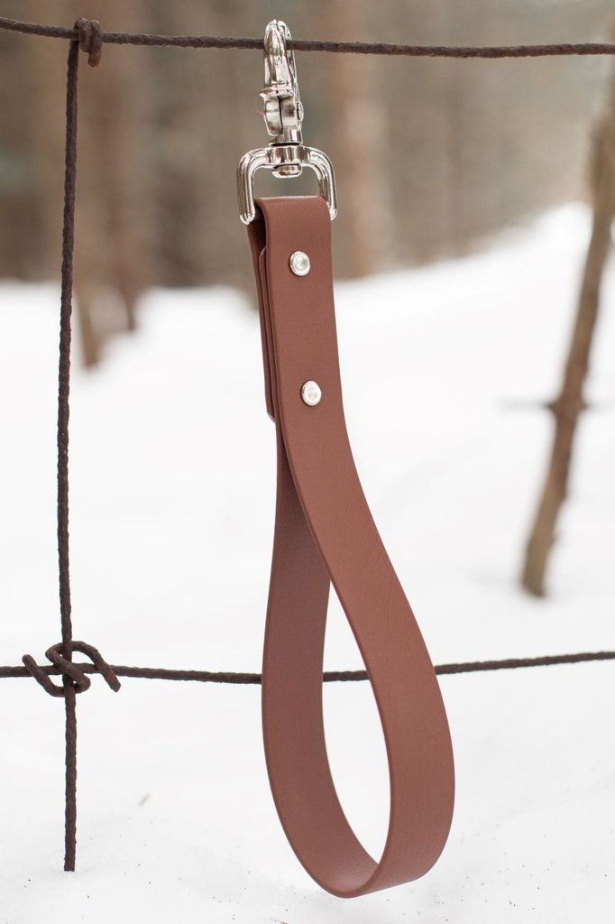 Thumbnail: BioThane® Training Tab