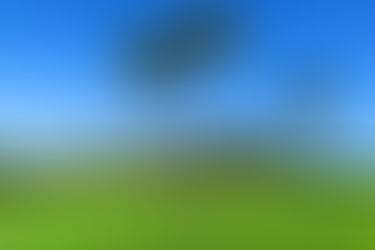 ウクレレ練習2021.08.05 17:30～