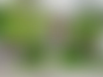 多伦多森林山精品豪宅推荐