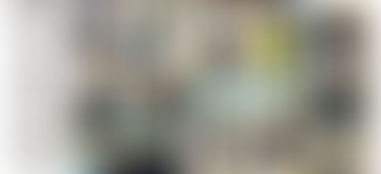 Destaque na mídia: Jair Renan Bolsonaro amplia presença política e ganha projeção nacional