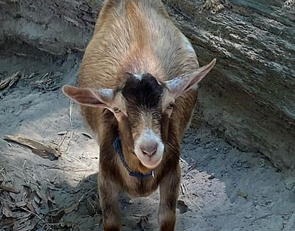 6ae76816-3ebf-4c3c-9a0d-44a56b00b6d2 (1).jpg