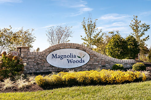 magnolia4.jpeg