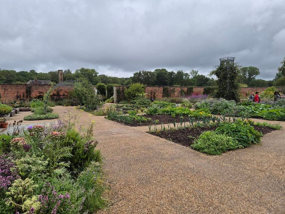 Kitchen Gardens | 📷Hopwood Radio