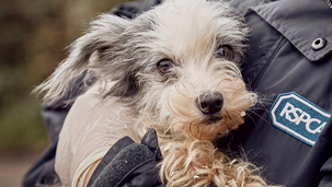 The RSPCA refuses to step in and secure the safety of a neglected dog in Rochdale.