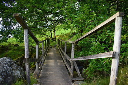 DSC_0199.jpg
