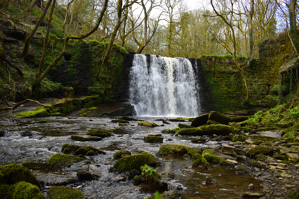 Ashworth Valley Waterfall | Jimmy Carter