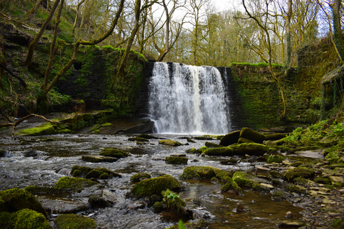 Ashworth Valley Waterfall | Jimmy Carter