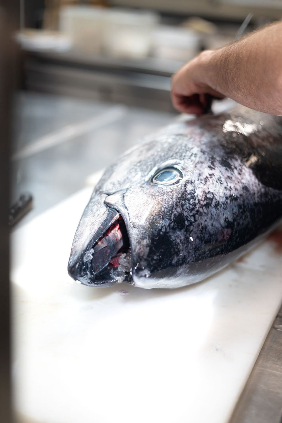 WhatsApp Image 2025-09-15 at 11.44.15.jpeg