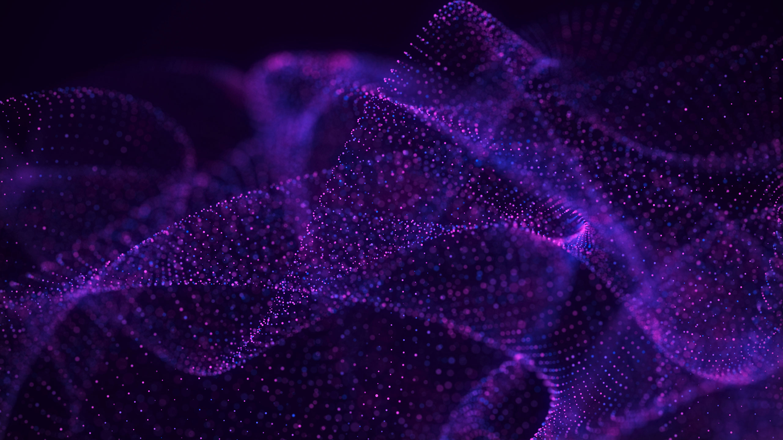 gauzy-purple.jpg