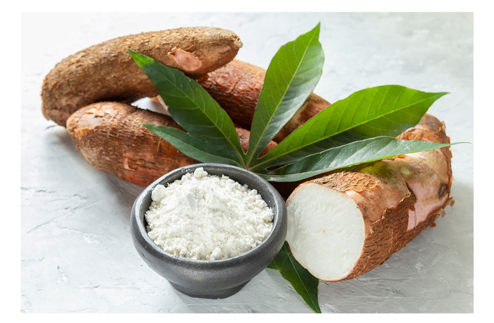 Cassava used in formulation of nail polish