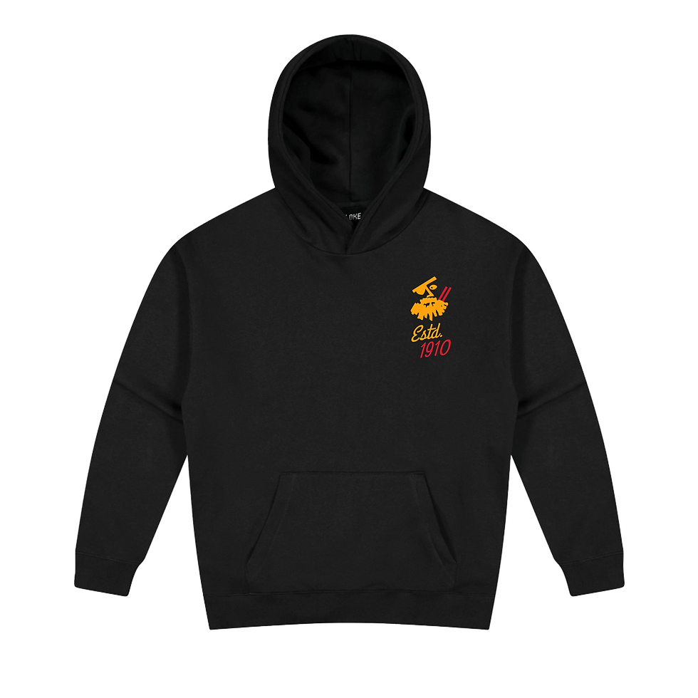Raise TheFlag TPS Hoodie