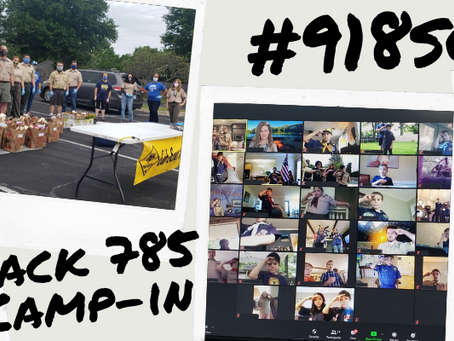 Pack 785 Spring Camp-In Success