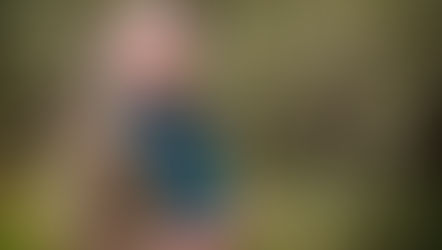 Scotland's Wild Larder: Seabuckthorn & more. Interview: Kirstie Campbell Seabuckthorn Scotland