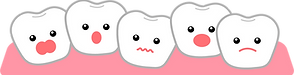 えのきと歯科クリニック歯列イラスト