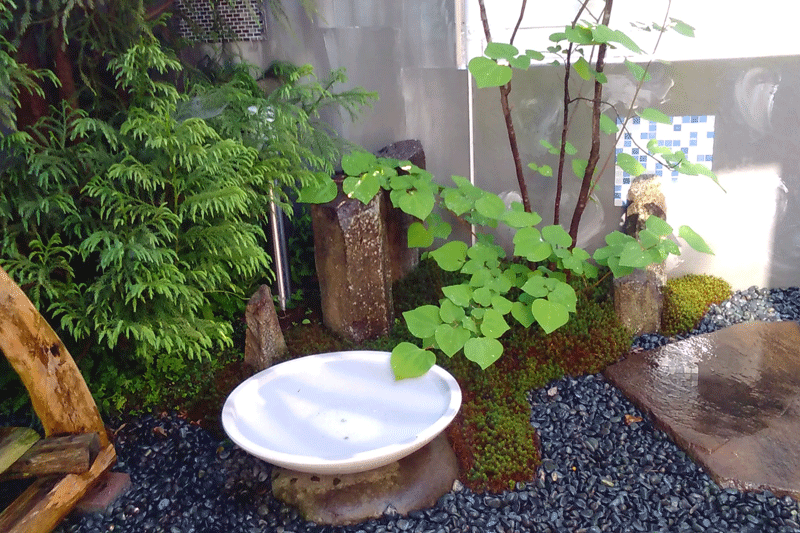 ショールーム憩い