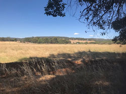 FOR SALE NORTH DANDALUP