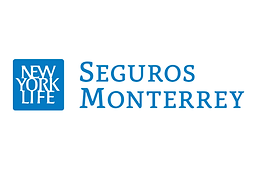 seguros-monterrey-logo-png_seeklogo-541349.png