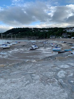 New Quay in South West Wales