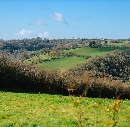 Glamping pods within 2 hours of Cardiff with hot tub dog friendly