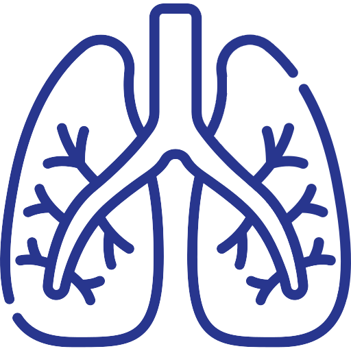 Respiratory Syncytial Virus (RSV)
Vaccine