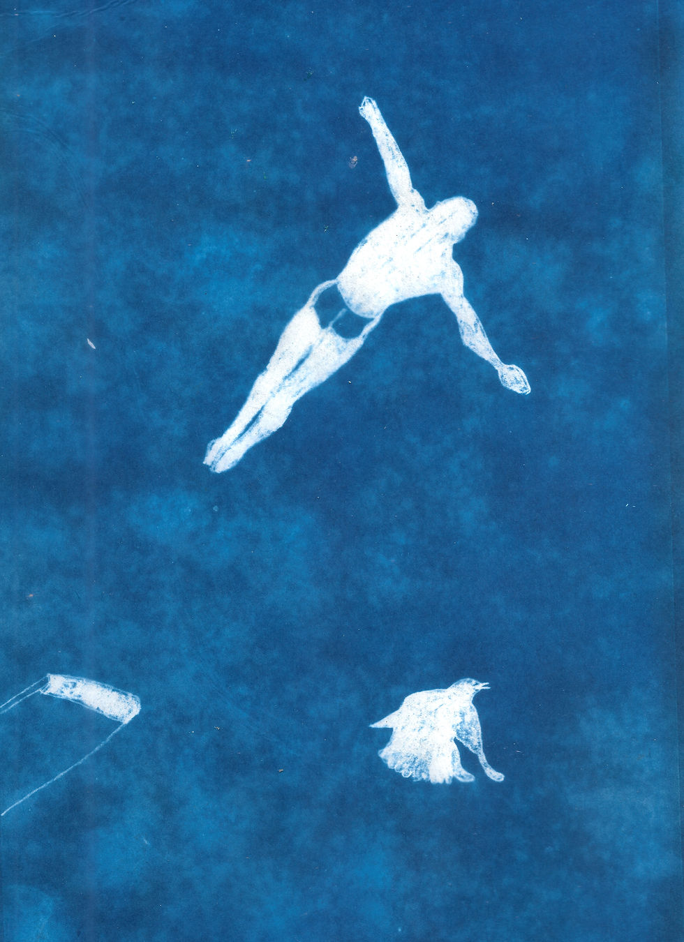 Cyanotype 'Diver in Blue' (Limited edition Giclee print)