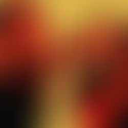 31in30: Toronto Raptors