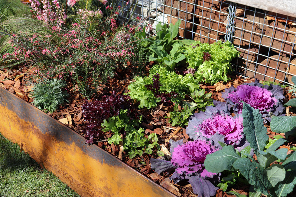 Floriade Landscape Garden Design Competition, 2026