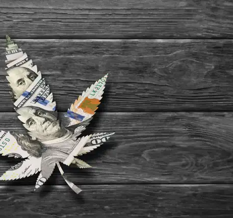 Cannabis Stocks Update