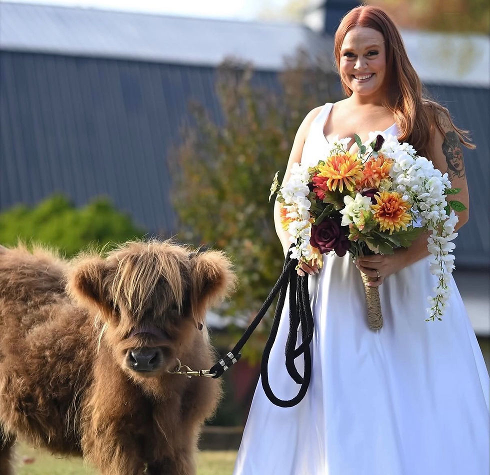 Just a Dad Photography