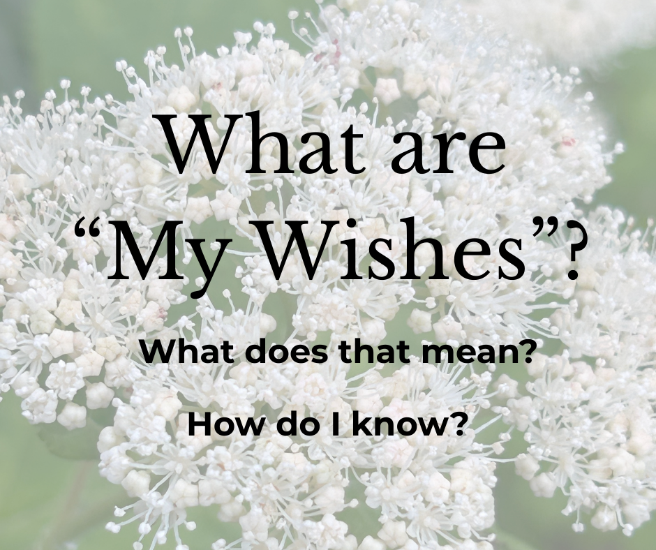 Flower background with text inquiring about what it means when one is asked "What are my wishes?"