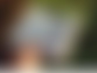 A hand holding an open book in an outdoor setting